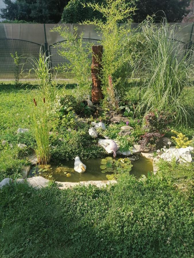 Apartman Garden House Voždivac Εξωτερικό φωτογραφία