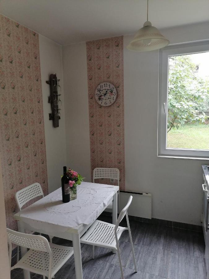 Apartman Garden House Voždivac Εξωτερικό φωτογραφία