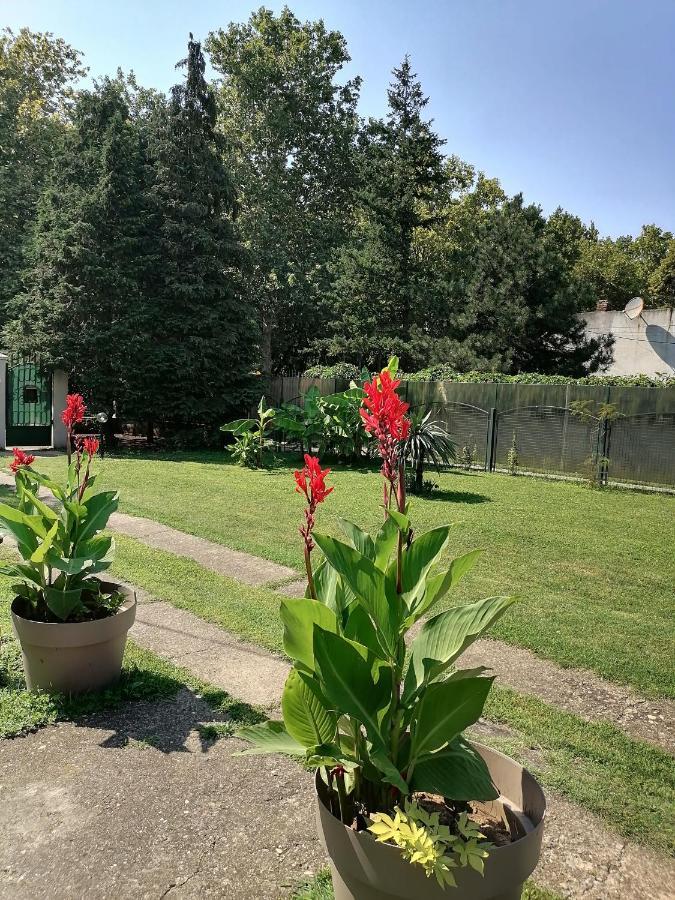 Apartman Garden House Voždivac Εξωτερικό φωτογραφία